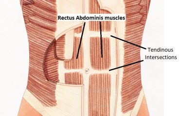 https://www.staianoplasticsurgery.co.uk/wp-content/uploads/2020/11/tummy.jpg